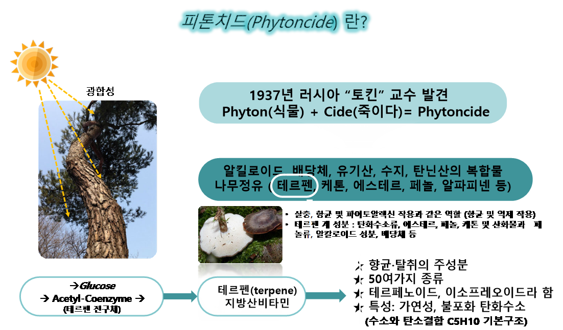 cdaba30fbda33553ab78b2695ab8dac7_1656196307_6107.png cdaba30fbda33553ab78b2695ab8dac7_1656196307_6107.png
