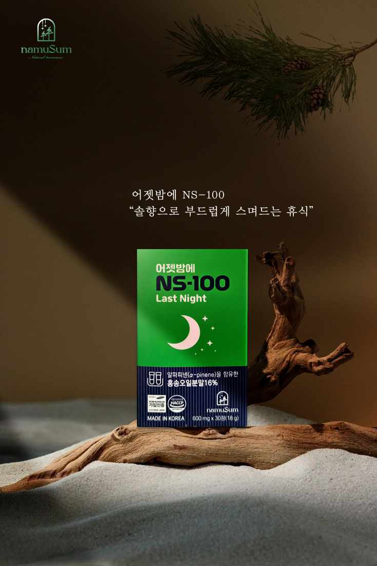 어젯밤에 NS-100